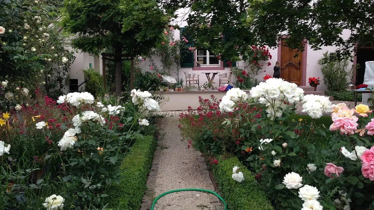 Ganze Ferienwohnung, Ferienwohnung für 4 Personen (100 m²) in Ingelheim am Rhein in Ingelheim am Rhein, Landkreis Mainz-Bingen