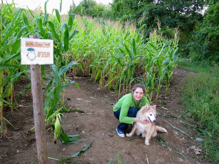 Ferienwohnung für 2 Personen, mit Terrasse - 1