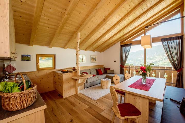 Entire apartment, Apartment 'Haus Sonnegg - Living Suite' with Mountain View, Wi-Fi, Balcony & Garden in Albions, Lajen