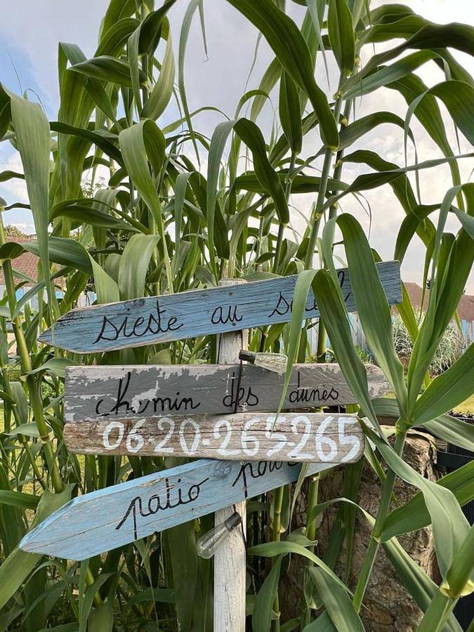 Gîte pour 2 personnes, avec piscine et jacuzzi ainsi que jardin et terrasse à Roézé-sur-Sarthe - 4