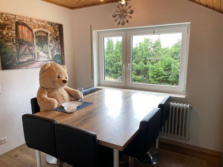 Ferienwohnung für 10 Personen, mit Balkon und Garten in Friedrichshafen