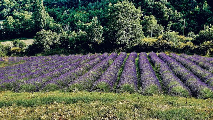 Maison de vacances 'Mas De Charme - Les Angelettes' avec vue sur la montagne, piscine et Wi-Fi in Saint-Ferréol-Trente-Pas, Région de nyons