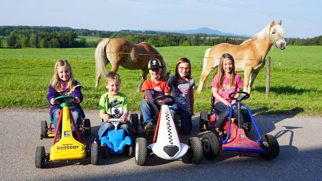 Ganze Ferienwohnung, Ferienwohnung für 4 Personen (60 m²) in Teisendorf in Teisendorf, Rupertiwinkel