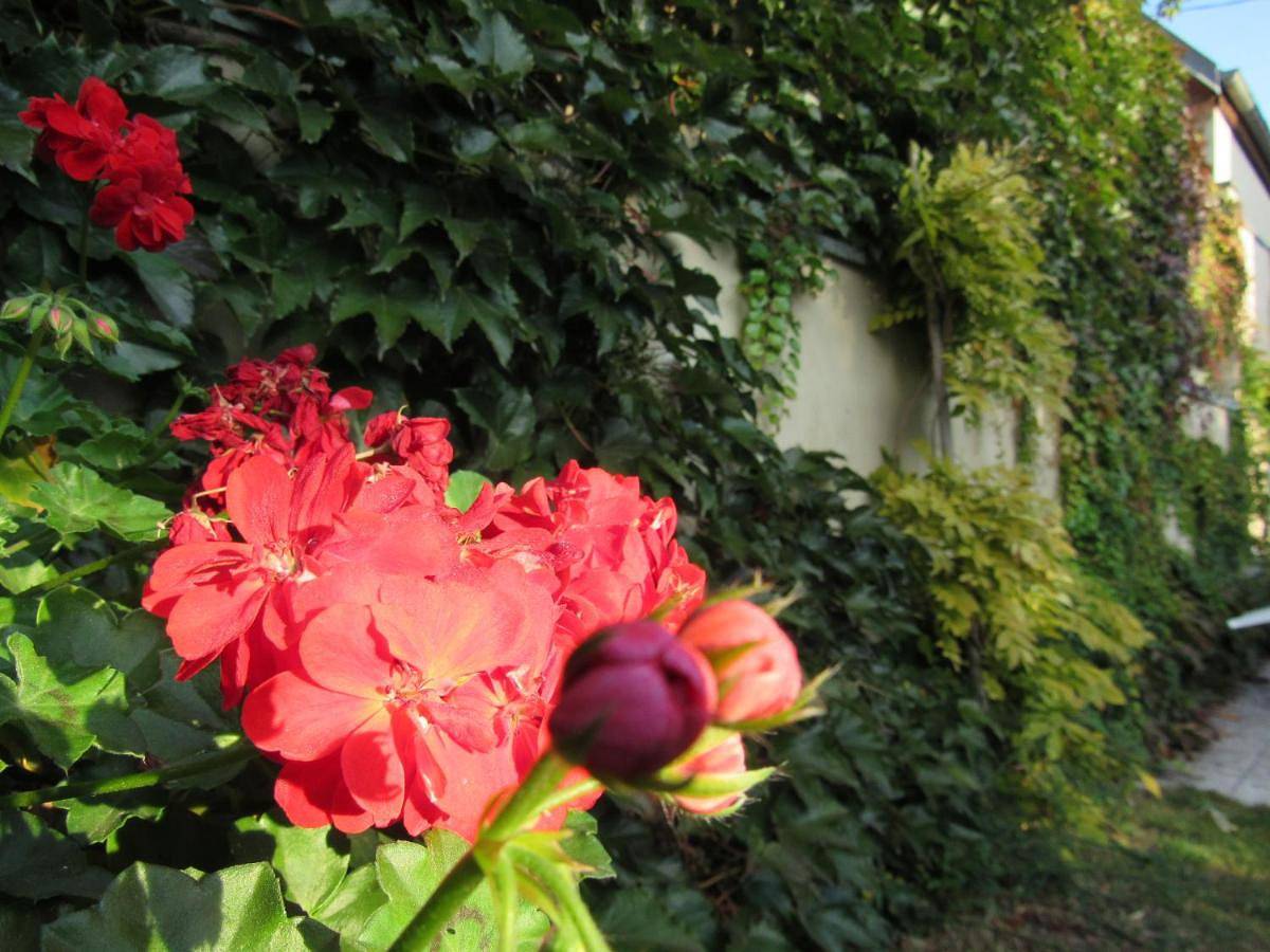 Maison d'hôtes La Ferme Pierre*** in Donnenheim, Strasbourg regio