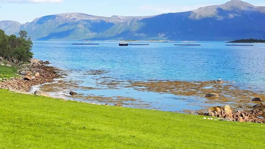Ferienhaus für 7 Personen, mit Balkon in Vesterålen - 2