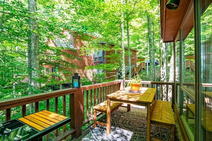 Vacation house for 10 people, with balcony and hot tub, with pets in West Virginia
