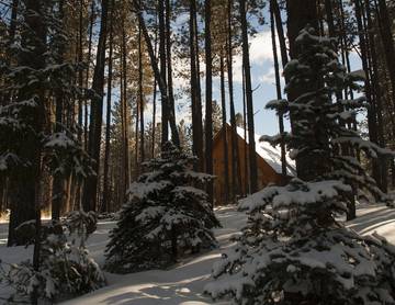 Log Cabin for 10 Guests in Angel Fire, Colfax County, Picture 4