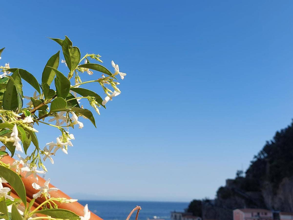 B&B Domus San Pietro in Spiaggia della Collata, Cetara