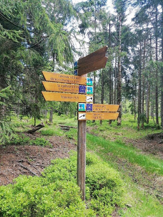 Ferienhaus für 8 Personen, mit Garten, mit Haustier im Bayerischer Wald - 4