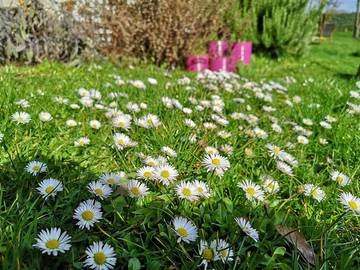Appartement voor 4 Personen in Polch, Osteifel, Afbeelding 4