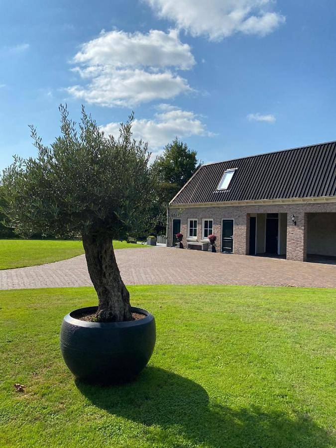Appartement de vacances pour 4 personnes, avec Terrasse ainsi que Jardin et Vue