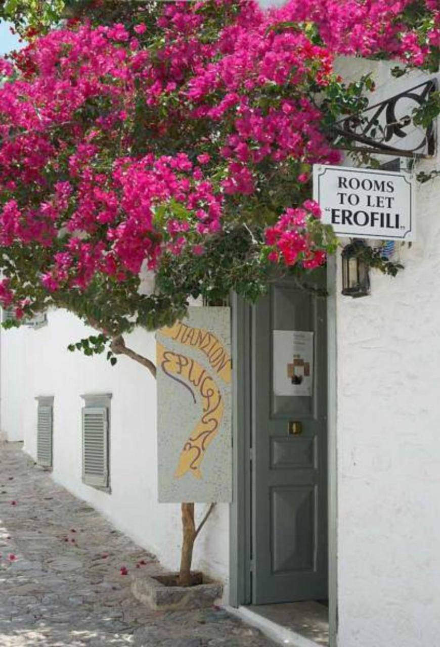 Pension Erofili in Hydra