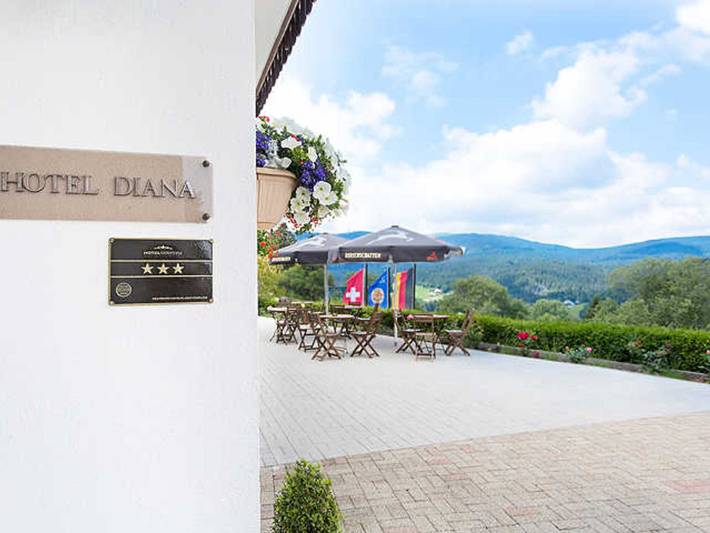 Hotel für 4 Personen, mit Sauna und Pool, kinderfreundlich in Feldberg - 3