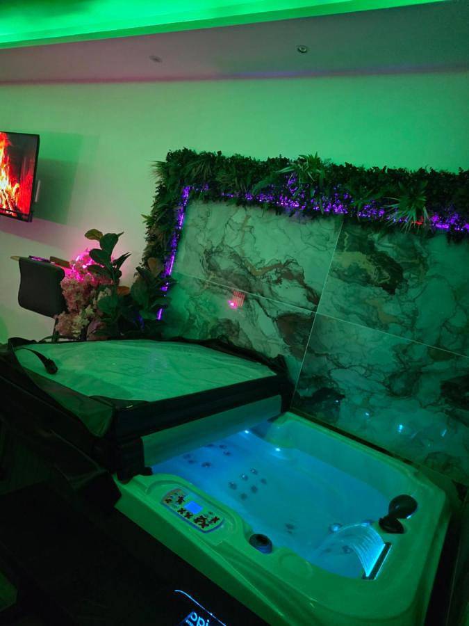 Appartement entier, Apartment in Lingolsheim, Région de Strasbourg