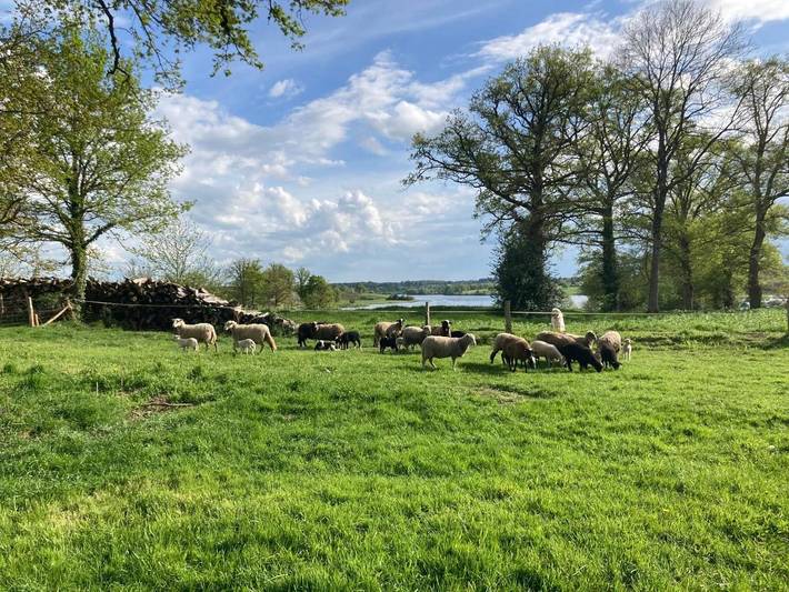 Location de vacances pour 8 personnes, avec piscine et vue ainsi que vue sur le lac et jardin dans Lac de Lavaud - 4