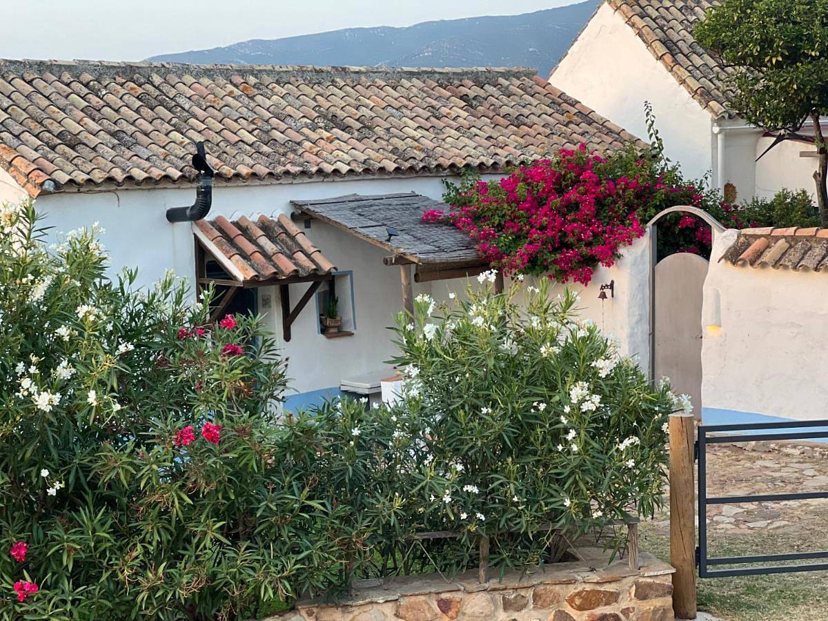 Ganze Wohnung, Encanto Rural con Jardín privado y Chimenea in Facinas, Tarifa