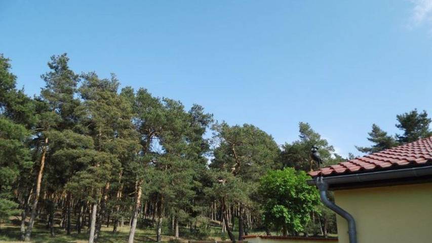Ferienhaus für 4 Personen, mit Garten und Balkon in Thale - 3