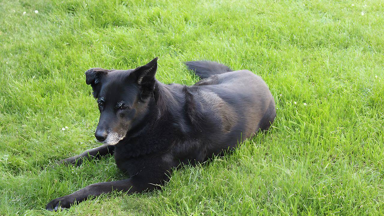 Ganze Ferienwohnung, Ferienwohnung für 4 Personen (96 m²) in Möhnesee in Körbecke, Möhnesee