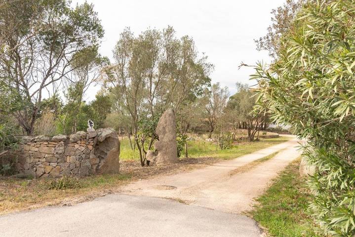 Maison d’hôte pour 2 personnes, avec vue et jardin à Arzachena - 2