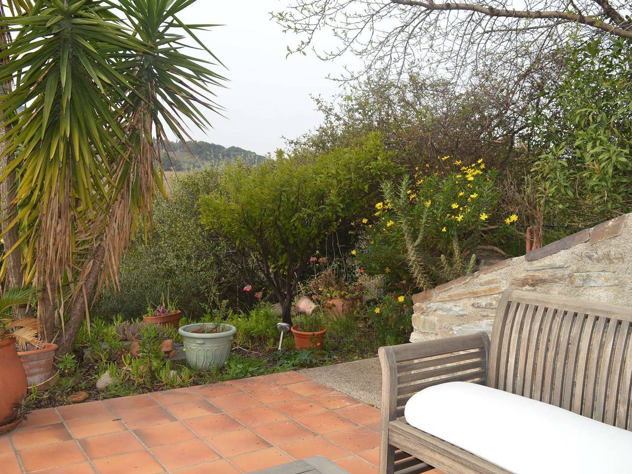 Casa de 3 piezas con jardín, barbacoa, se admiten mascotas en Banyuls-sur-Mer in La Côte Vermeille, Banyuls-sur-Mer