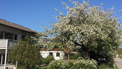 Ferienwohnung für 2 Personen, mit Balkon in Bad Endorf
