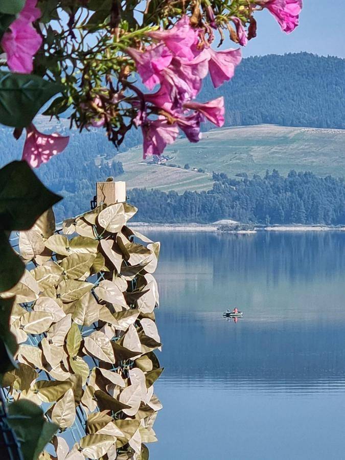 Domek letniskowy dla 8 osób, z ogród i widok oraz widok na jezioro, zwierzęta dozwolone w Jezioro Czorsztyńskie