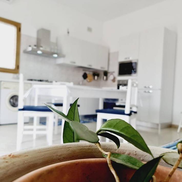 Appartement de vacances pour 6 personnes, avec vue - 1