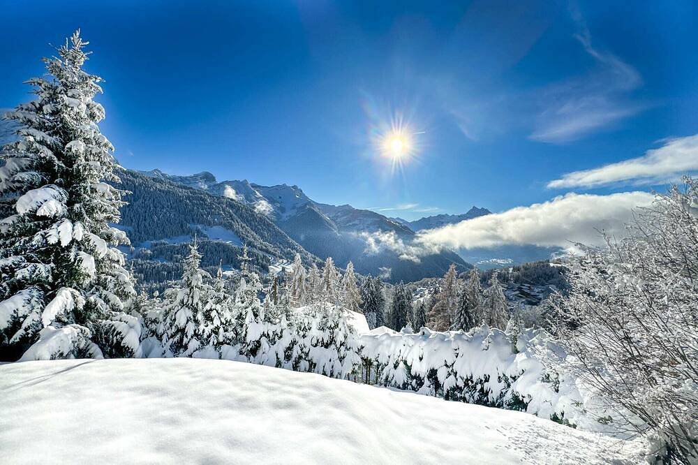 Ski in-out Sumptuous Chalet Breathtaking views in Gryon, Alpes Vaudoises