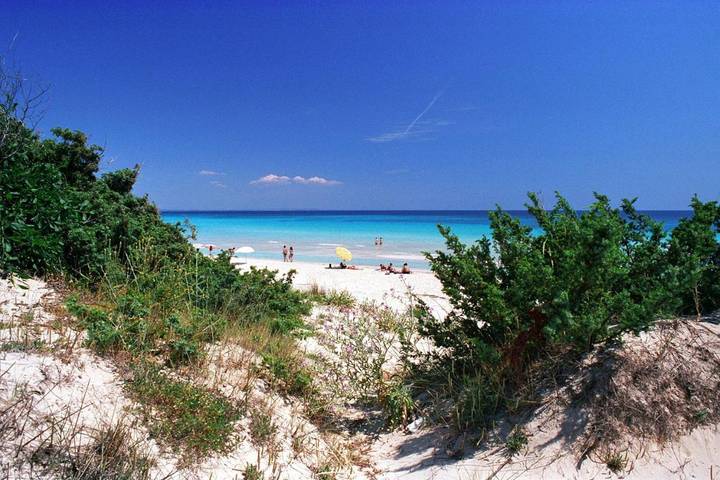 Ferienhaus für 4 Personen, mit Garten und Ausblick, kinderfreundlich in Punta Prosciutto - 2