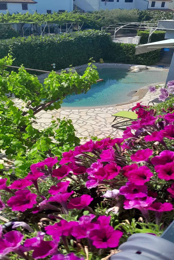 Apartamento vacacional entero, Apartamento de vacaciones con aire acondicionado y piscina (electrólisis sin cloro) in Valbandon, Costa sur de Istria