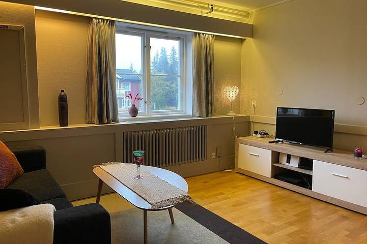 Ganze Wohnung, Atemberaubende Wohnung in Lillehammer in Lillehammer