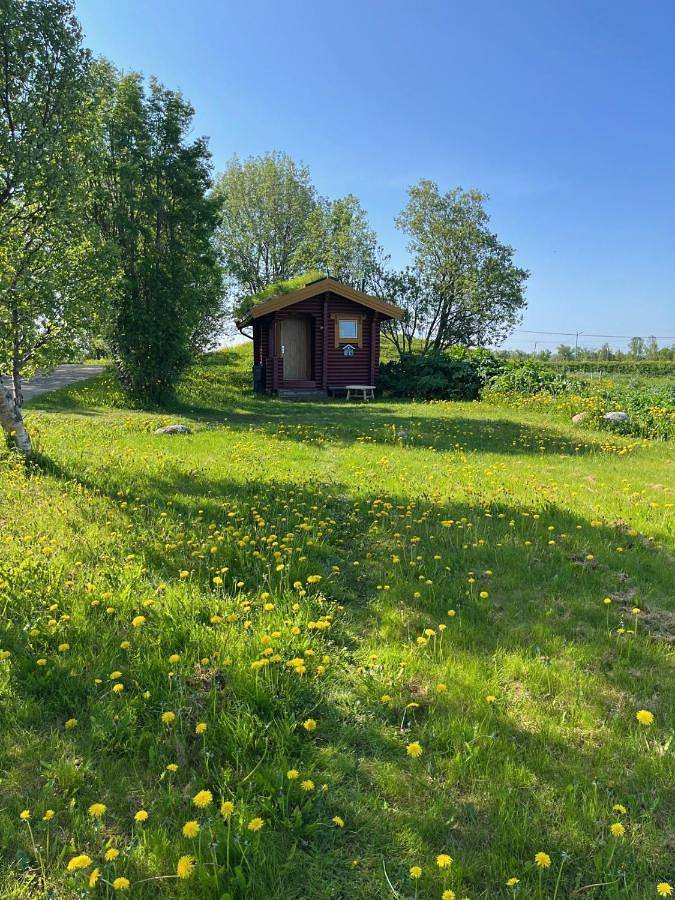 Lodge für 2 Personen, mit Ausblick und Garten in Vesterålen