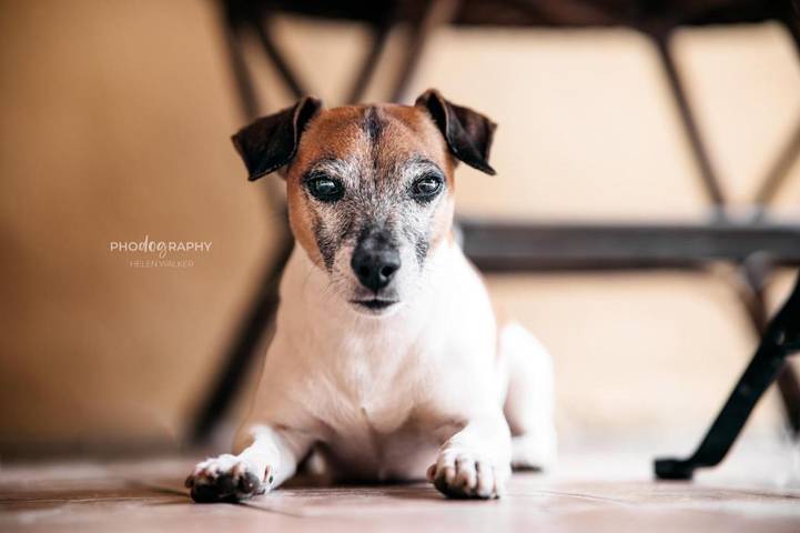 Chambre d’hôte pour 2 personnes, avec jardin, animaux acceptés à Muravera - 4