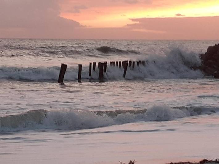 Location de vacances pour 2 personnes, avec vue ainsi que jardin et terrasse, animaux acceptés dans Plage Kerler Fouesnant - 3
