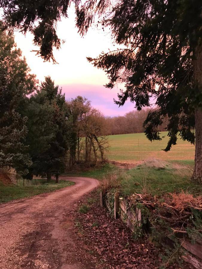 Location de vacances pour 14 personnes, avec jardin ainsi que vue et piscine à Châtel-Censoir - 3