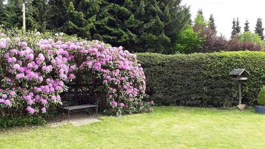 Ferienhaus für 2 Personen, mit Garten und Sauna in Lahntal-Westerwald - 4