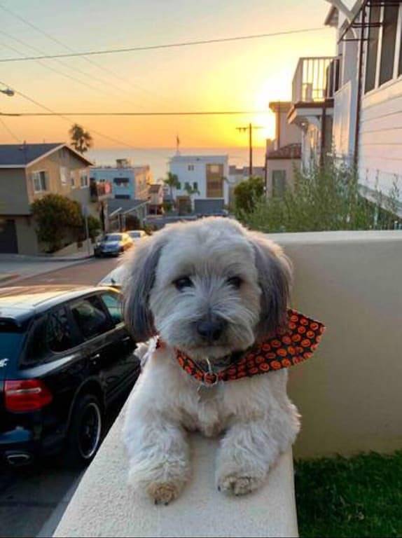 Vacation rental for 5 people, with yard in Manhattan Beach