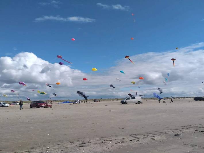 Ferienhaus für 6 Personen, kinderfreundlich in Drachenfestival Fanø - 3