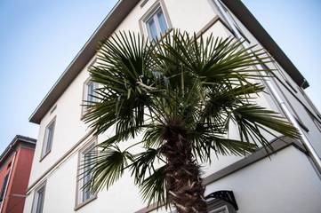 Maison d’hôte pour 2 personnes à Parme