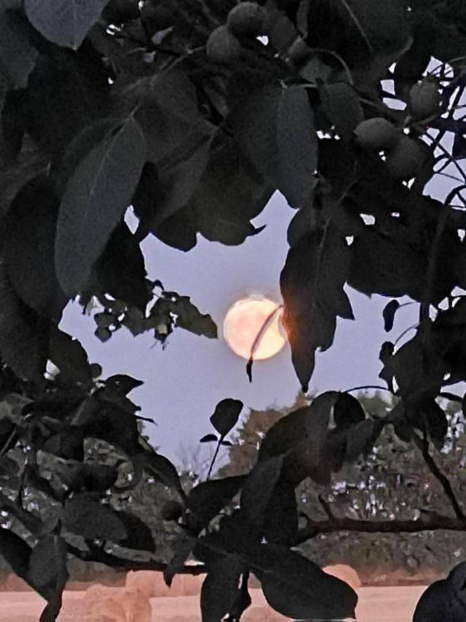 Gîte pour 2 personnes, avec vue ainsi que jardin et piscine à Néré - 2
