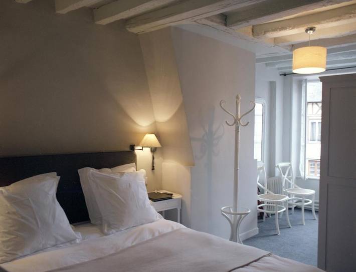 Hôtel pour 2 personnes, avec sauna et jardin ainsi que piscine et vue, animaux acceptés à Lyons-la-Forêt - 4