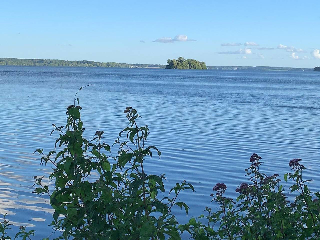 Ganze Ferienwohnung, Ferienwohnungen Labud 25 - Ferienwohnung Labud 25 in Bosau, Ostholstein