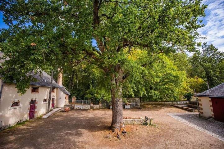 La Forge - Gîte de charme au cœur des Châteaux de la Loire - Nature & calme in Cour-Cheverny, Sologne