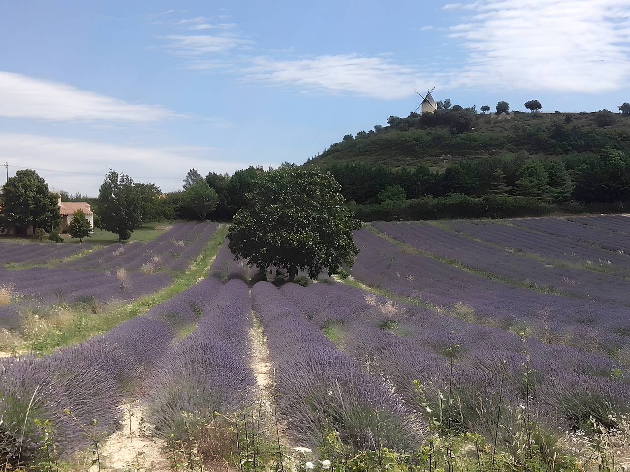 Gîte Provence Luberon Paca (pmr) in Revest-des-Brousses, Parc naturel régional du Luberon