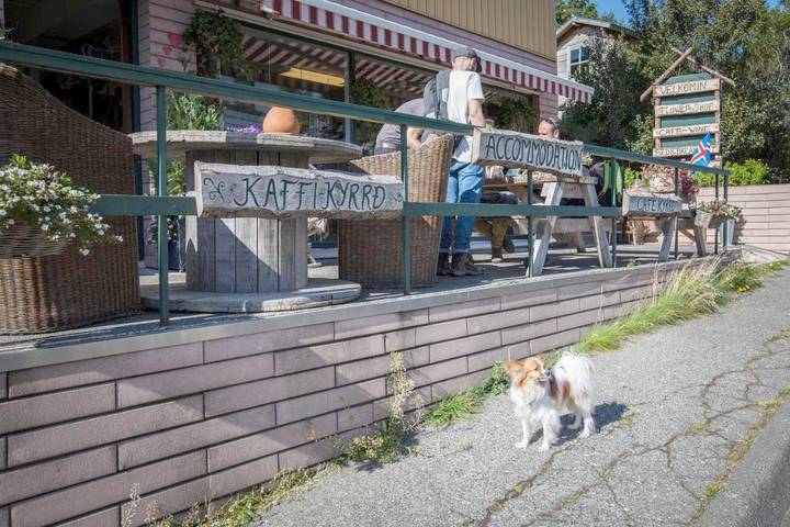 Gîte pour 2 personnes, avec jardin, animaux acceptés en Islande - 4