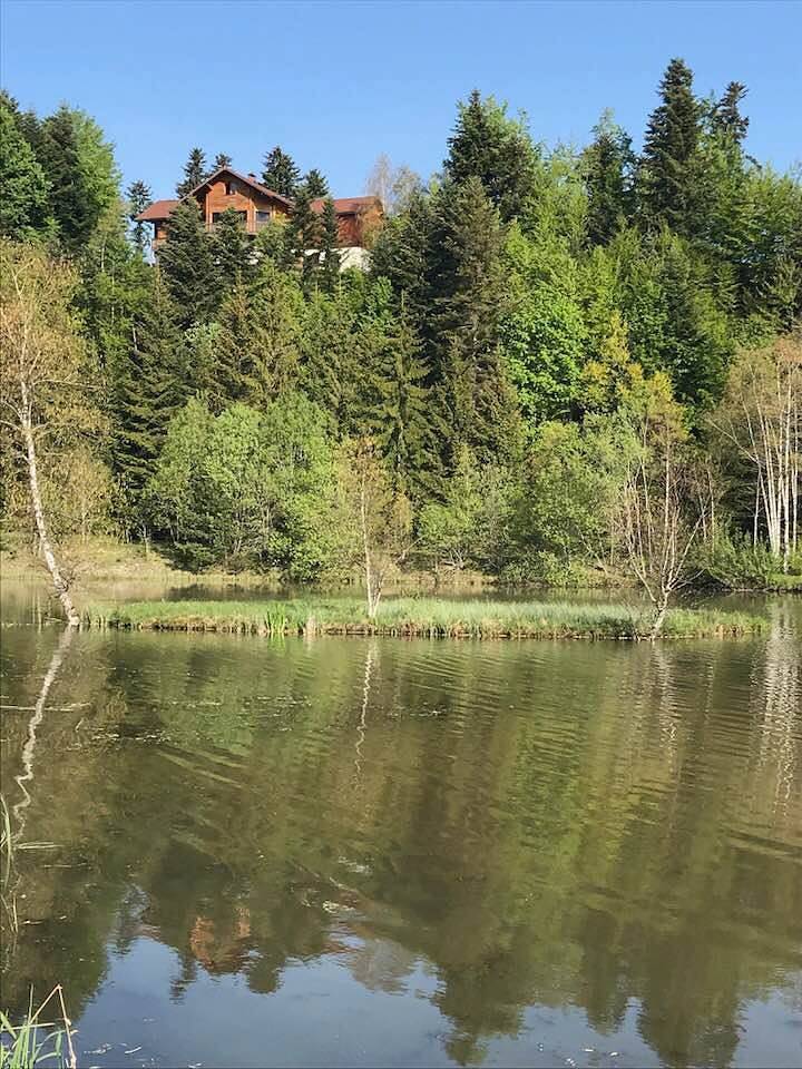 L'étang du Moulin in Bonnétage, Doubs