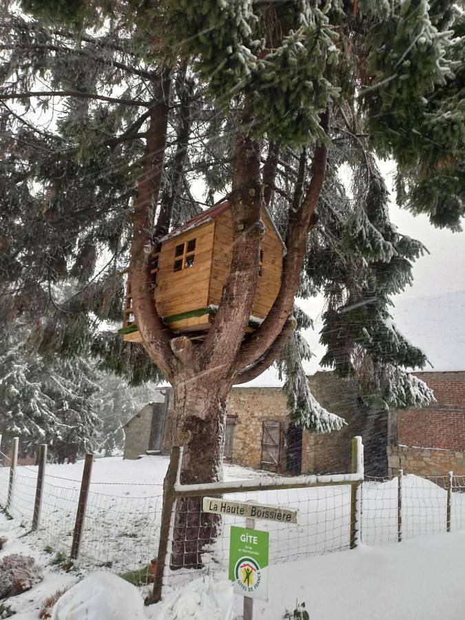 Location de vacances pour 6 personnes, avec terrasse à La Chapelle-d'Andaine - 3