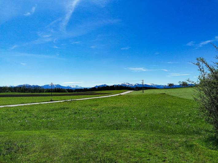 Ganze Ferienwohnung, Beim Dobler - Appartement Ringelblume, 20qm, 1. Obergschoss, kombinierter Wohn-Schlafraum in Höslwang, Chiemsee