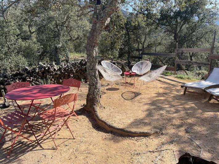 Chambre d’hôte pour 4 personnes, avec jardin et vue à Sorède - 4