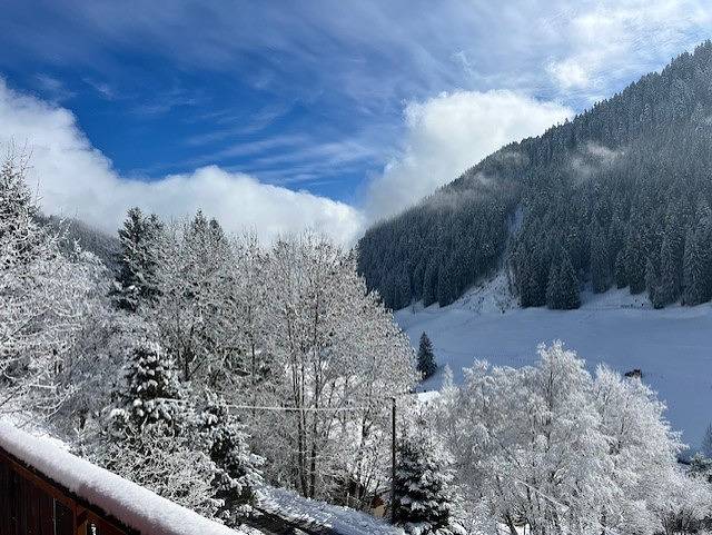 Ganze Ferienwohnung, Chalet Violeta - 3,5-Zimmer-Wohnung in Morgins, Troistorrents